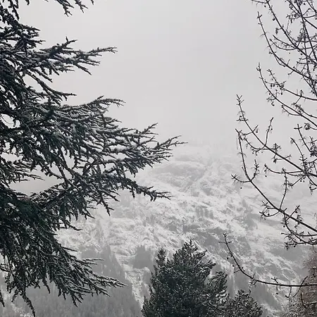 Tancredi * Courmayeur