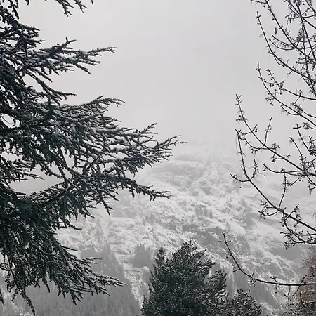 Tancredi * Courmayeur
